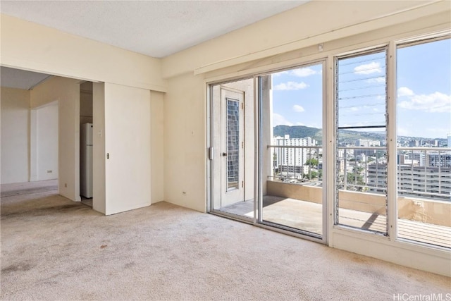 empty room with light colored carpet and a wealth of natural light