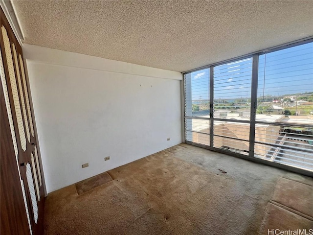 empty room featuring floor to ceiling windows, a textured ceiling, and carpet floors