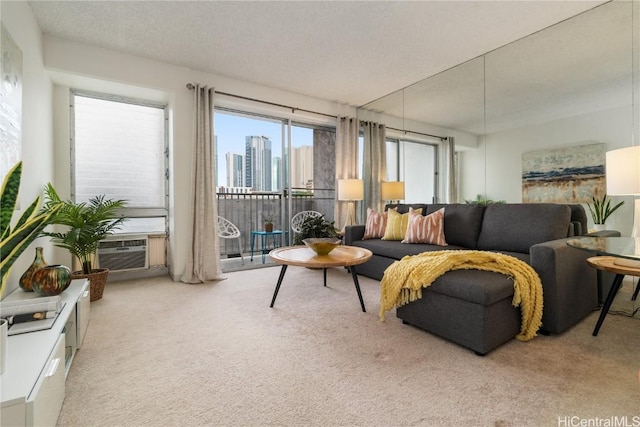 carpeted living room with a textured ceiling