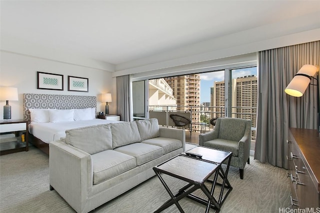 view of carpeted bedroom