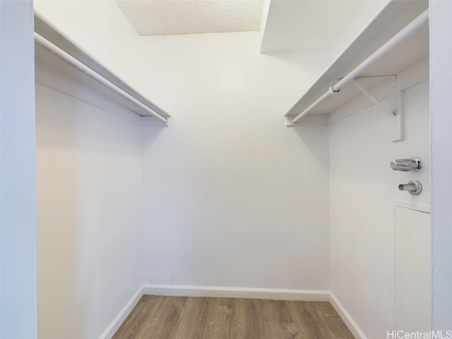 walk in closet featuring wood-type flooring