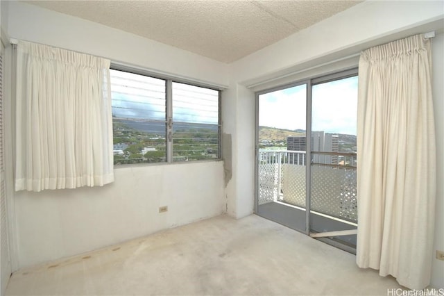 spare room with carpet and a textured ceiling