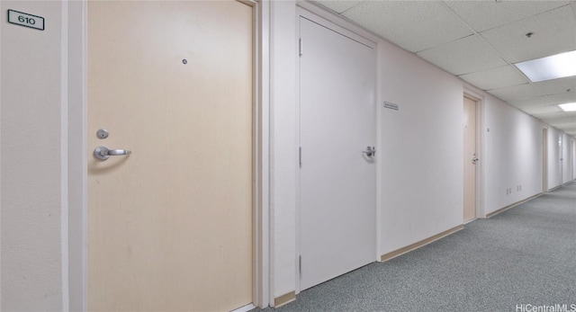 corridor featuring light colored carpet and a drop ceiling