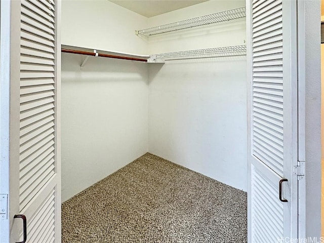 spacious closet with carpet