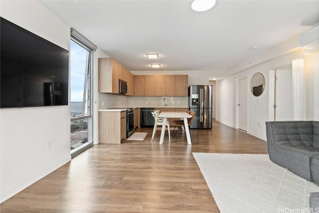 kitchen featuring light wood-type flooring, a wealth of natural light, stainless steel appliances, and expansive windows