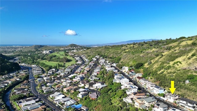 bird's eye view