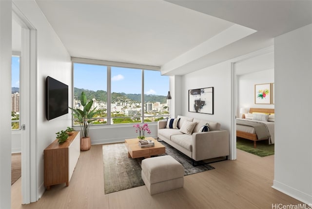 living room with light hardwood / wood-style flooring