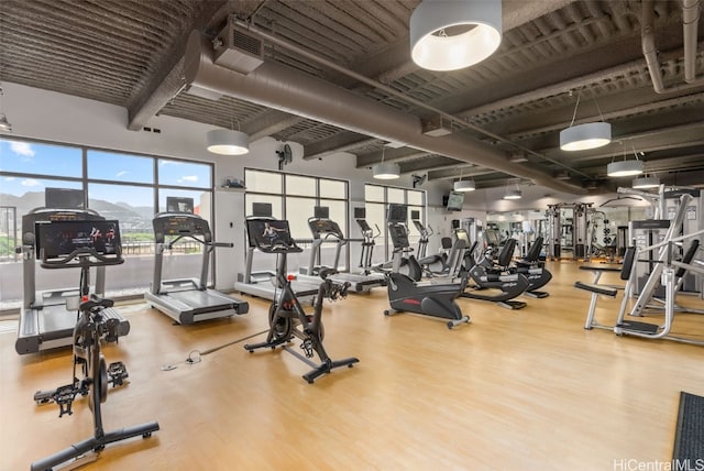 workout area featuring light hardwood / wood-style floors