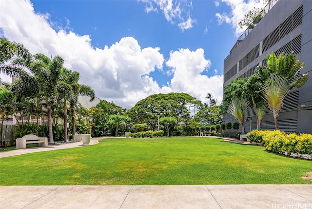 view of property's community with a yard