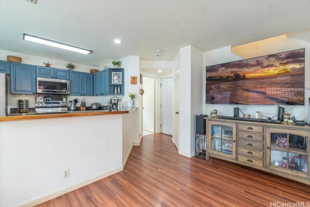 kitchen with blue cabinetry, dark hardwood / wood-style flooring, and stainless steel appliances