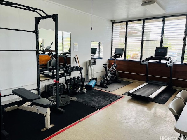 exercise room featuring a wealth of natural light