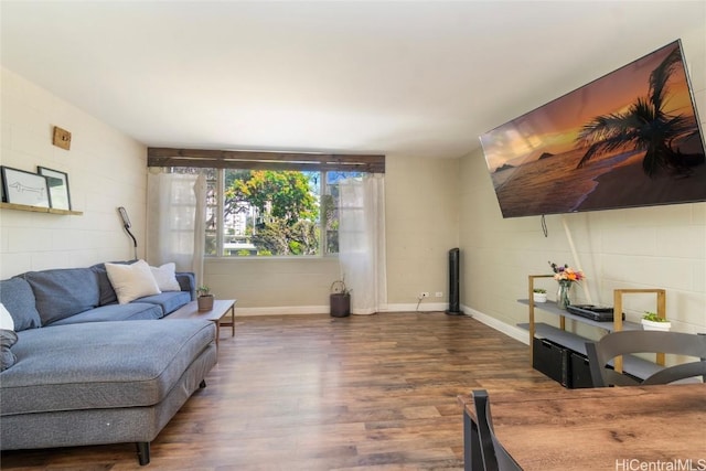 living room featuring dark wood-type flooring