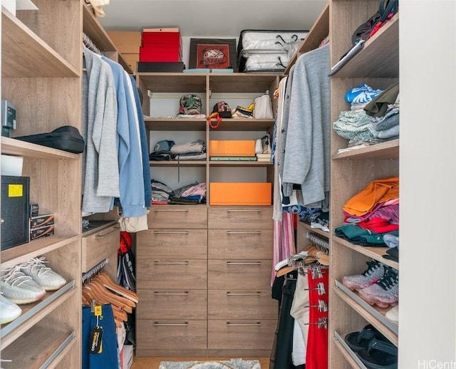 view of spacious closet