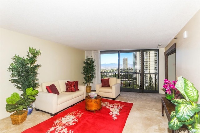 living room featuring floor to ceiling windows and carpet