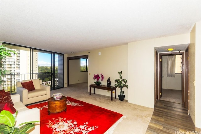 living room featuring hardwood / wood-style floors and a textured ceiling