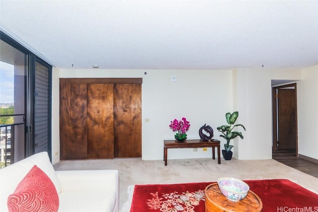 living room with expansive windows