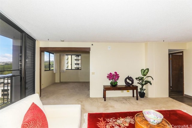 living room featuring carpet flooring