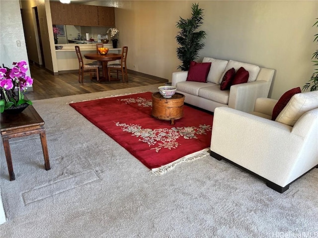 living room with dark hardwood / wood-style flooring