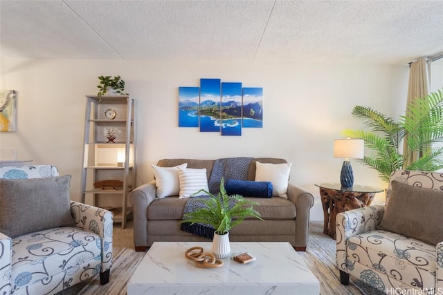 living room featuring a textured ceiling