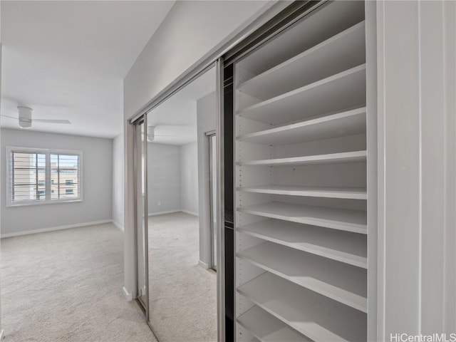 view of closet