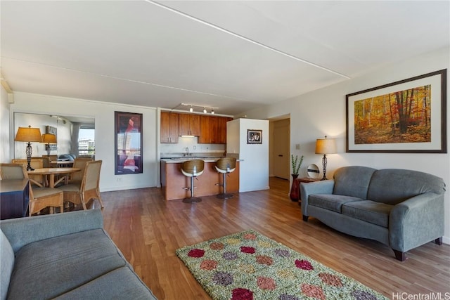 living room featuring rail lighting, hardwood / wood-style floors, and sink