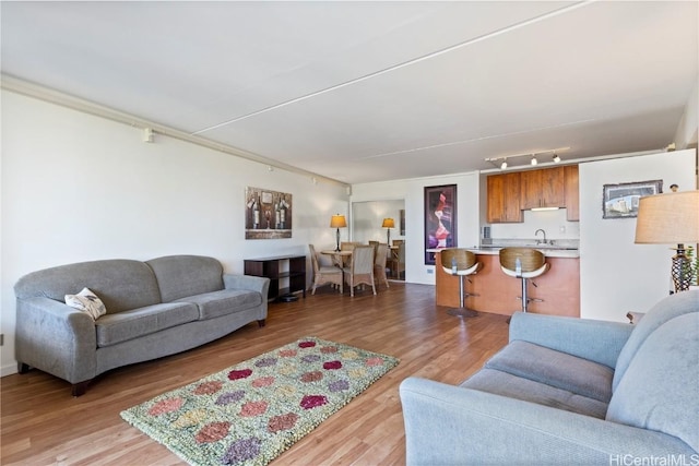 living room featuring light wood-type flooring, crown molding, and sink