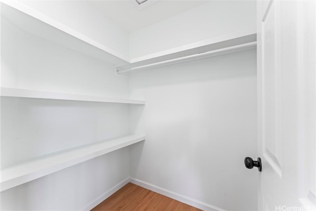 spacious closet featuring hardwood / wood-style flooring