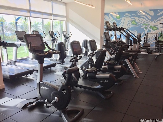 gym featuring a healthy amount of sunlight and a wall of windows