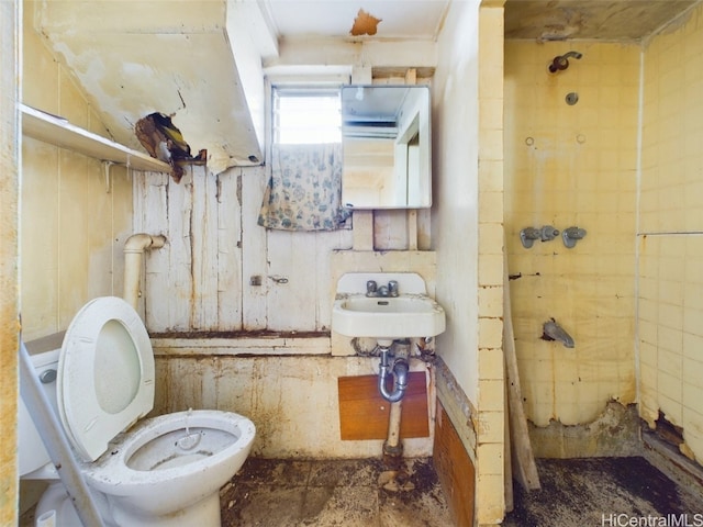 bathroom with toilet and sink