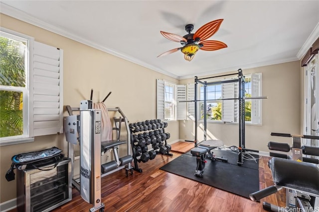 workout room featuring crown molding, dark hardwood / wood-style floors, and ceiling fan