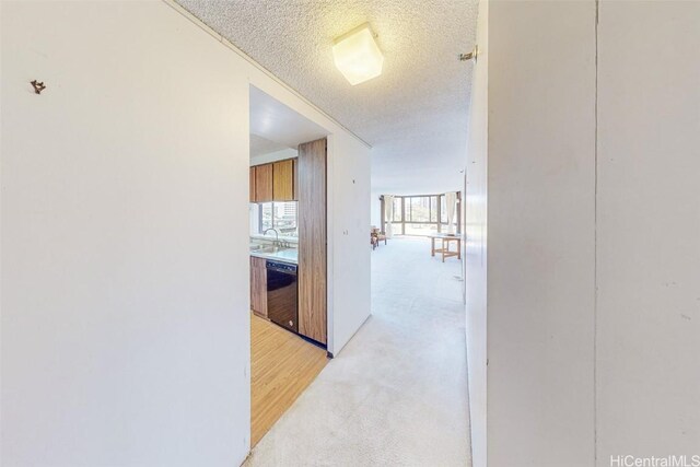 hall with sink and a textured ceiling