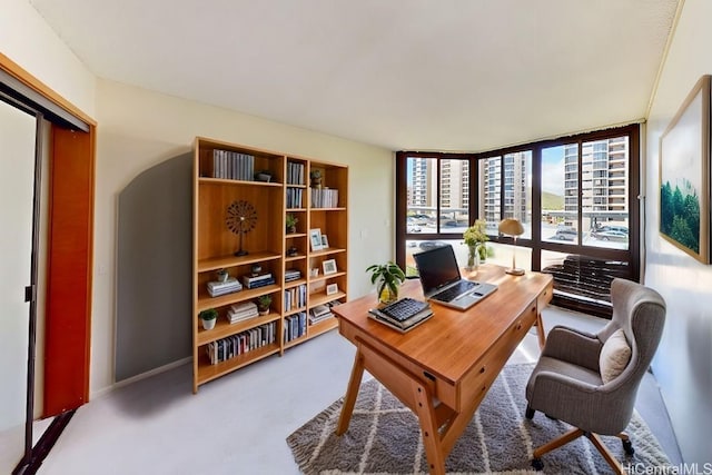 office area featuring carpet