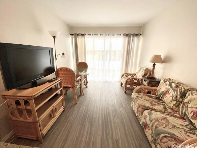 living room featuring dark wood-type flooring