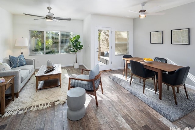 living area with a ceiling fan, a wealth of natural light, and wood finished floors