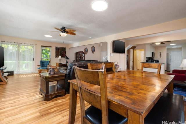 dining room with ceiling fan and light hardwood / wood-style floors