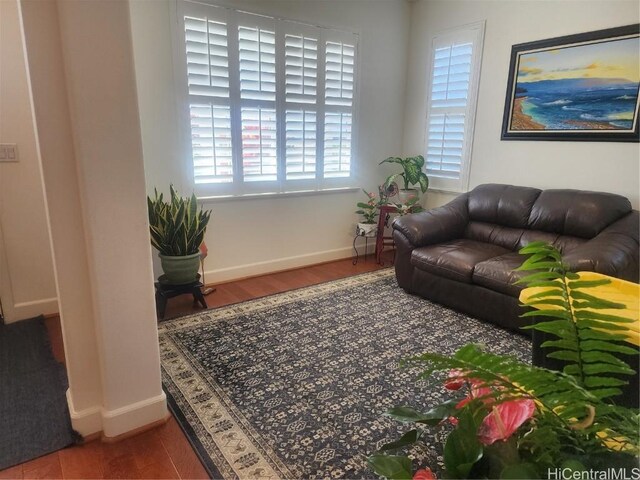 living room featuring dark hardwood / wood-style flooring