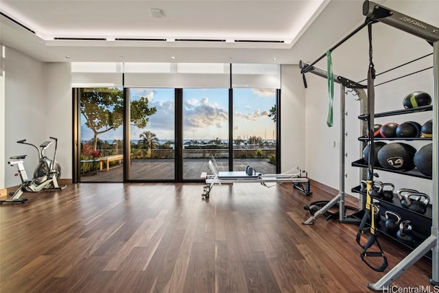 exercise room featuring wood-type flooring and floor to ceiling windows