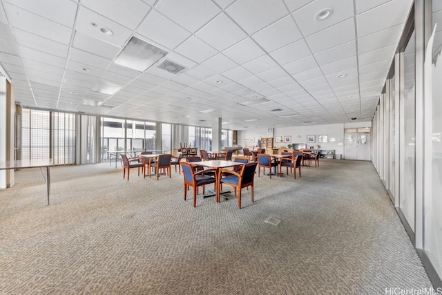 unfurnished dining area with a wall of windows, carpet flooring, plenty of natural light, and a drop ceiling