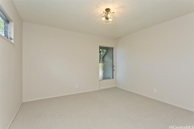 spare room with a textured ceiling and carpet flooring