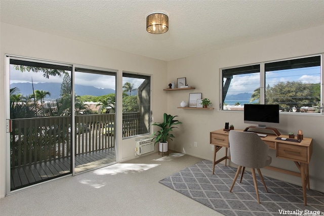 44-3026 Olina St Unit 7/6, Kaneohe, HI 96744 - carpeted office featuring a wall unit AC and a textured ceiling