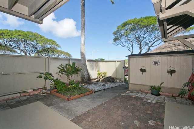 view of patio / terrace featuring a shed