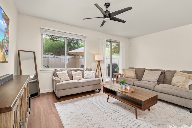 living room with ceiling fan and light hardwood / wood-style floors