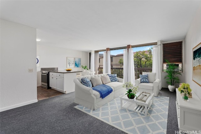 living room with dark colored carpet