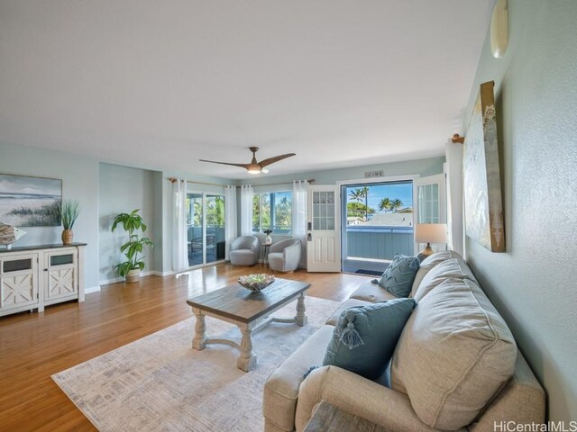 living room with ceiling fan and light hardwood / wood-style floors