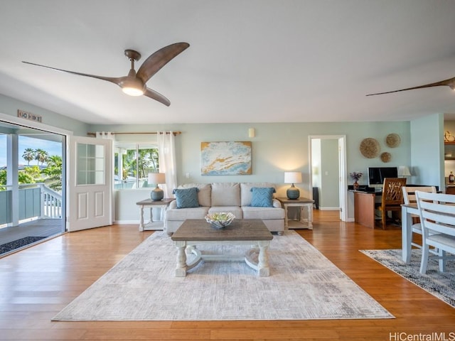 living room with ceiling fan and light hardwood / wood-style flooring