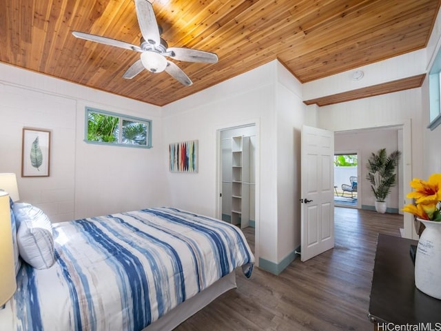 bedroom featuring ceiling fan, dark hardwood / wood-style floors, multiple windows, and wooden ceiling