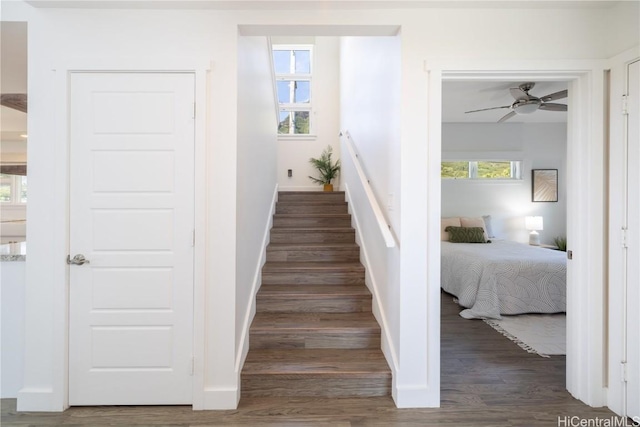 stairway featuring hardwood / wood-style floors and ceiling fan