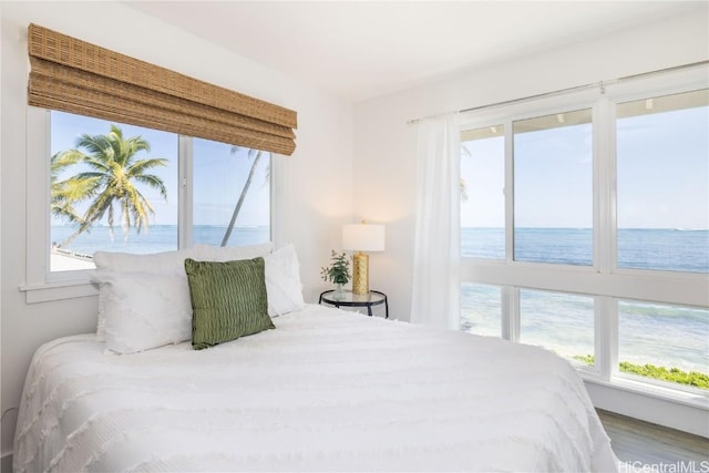 bedroom featuring a water view, wood-type flooring, and a view of the beach