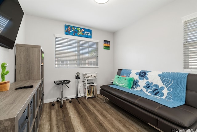 living area with dark hardwood / wood-style flooring