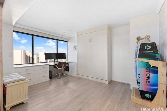 office featuring light hardwood / wood-style flooring